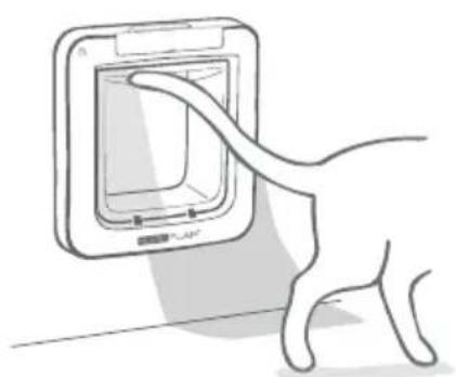 Sure Petcare SureFlap Connect Microchip - Standaardvergrendelingsmodus - 3