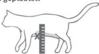 Sure Petcare SureFlap Connect Microchip - Stapsgewijze handleiding om een opening in glaste snijden - 3