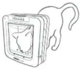 Sure Petcare SureFlap Connect Microchip - We strongly advise programming all of your pets into the Pet Door before fitting it. - 4