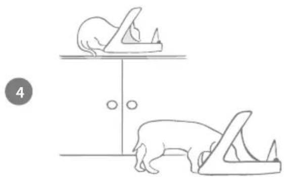 Sure Petcare SureFeed Connect Microchip PetFeeder - Introducing a cautious pet to the feeder - 10