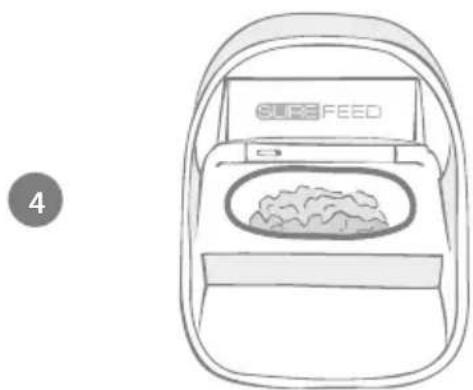 Sure Petcare SureFeed Connect Microchip PetFeeder - Introducing a cautious pet to the feeder - 4