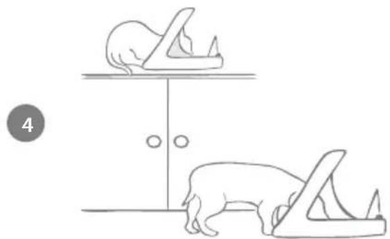 Sure Petcare SureFeed Connect Microchip PetFeeder - Een schuchter huisdier aan de voerbak laten wennen - 10