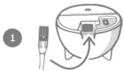 Sure Petcare SureFeed Connect Microchip PetFeeder - Purchase a Sure Petcare Hub - 2