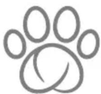 Sure Petcare SureFeed Connect Microchip PetFeeder - Still in need of assistance? - 2