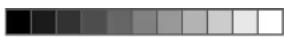 Medel Face Brush - IMPORTANT - 1