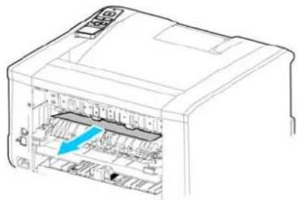 AVISION AP43 Plus - Unité de fusion: - 4