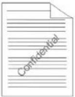 AVISION AP43 Plus - L'onglet Filigrane - 2
