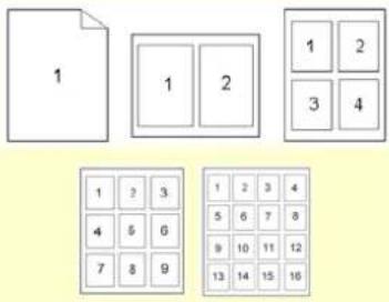 AVISION AP43 Plus - L'onglet Mise en page - 2