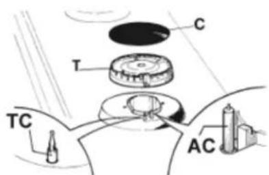 C T TC AC