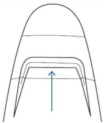 Riccar Spirit Plus R21PLUS - Carrying The Vacuum - 1