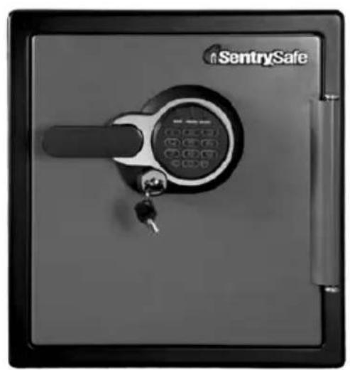SentrySafe STW123GTC - Fire-Safe® Manuel Du Propriétaire - 1