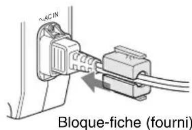 SONY BC-L70 - ⑩Prise à bloque-fiche - 1