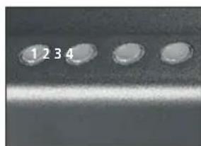 SentrySafe QAP1BLX - IMPORTANTE - 1