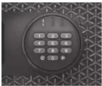 SentrySafe FPW082C - Programming information - 1