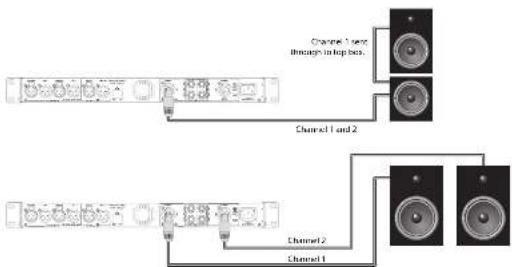 Lab Gruppen IPX 4800 - Conectores speakON - 1