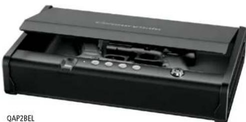 SentrySafe QAP2EL - SentrySafe - 1