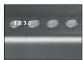 SentrySafe QAP2EL - IMPORTANTE - 1