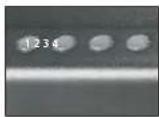 SentrySafe QAP2EL - IMPORTANT - 1