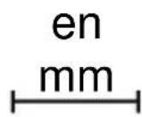 CANDY CA6 NP3T2HTW - AHORRAR Y RESPETAR EL MEDIO AMBIENTE - 2