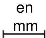 CANDY CA6 N3T1HTW - MANTENIMIENTO - 7