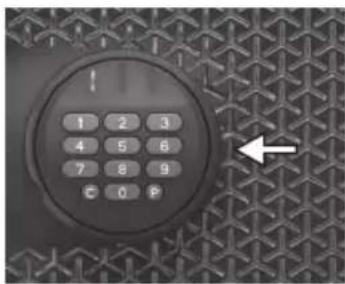 SentrySafe FPW082FS - Uso de batería auxiliar - 1