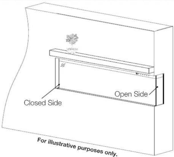 Napoleon Trivista Primis NEFB50H-3SV - Two-Sided Viewing Installation - 1