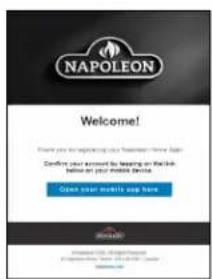 Napoleon Elevation Electric Fireplace NEFB42H-MF - let's get started - 6