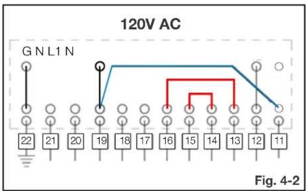 Napoleon Trivista Primis NEFB60H-3SV - 120V hard-wiring - 3