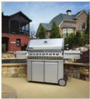 Napoleon Entice NEFL42CFH-1 - NAPOLEON CELEBRATING OVER 40 YEARS OF HOME COMFORT PRODUCTS - 2