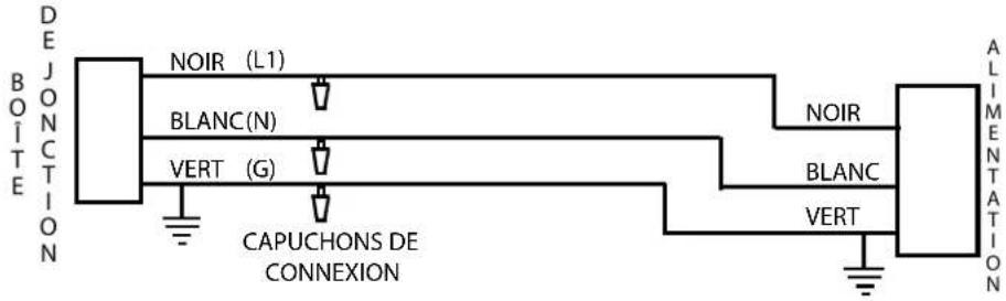 DEJONCTION BOI TÉ NOIR (L1) BLANC(N) VERT (G) CAPUCHONS DE CONNEXION NOIR BLANC VERT ALIMENTATION