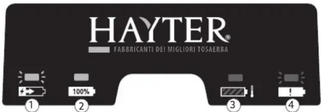 Hayter Hawk 36 - Adesivi di sicurezza e di istruzione - 10