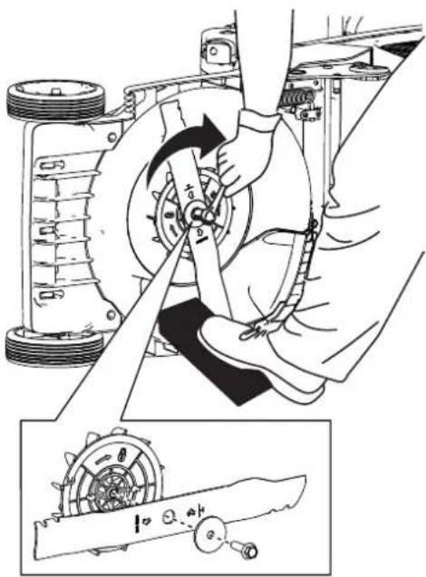 Hayter Hawk 36 - ADVERTENCIA - 1