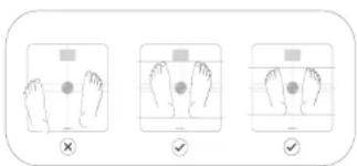 WITHINGS Body Comp WBS12 - Mätning av nervhälsa - 1