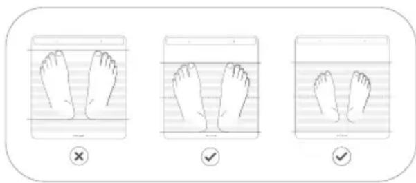 WITHINGS Body Scan - Taking a Nerve Health Score Measurement - 1