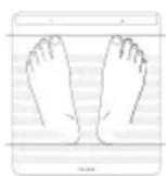 WITHINGS Body Scan - So erhalten Sie einen Nervengesundheits-Index: - 1