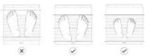 WITHINGS Body Scan WBS08 - Messung eines Nervengesundheits-\_\_\_\_ Index - 1