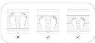 WITHINGS Body Scan WBS08 - Taking a Nerve Health Score Measurement - 1