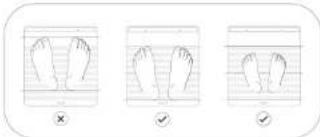 WITHINGS Body Scan WBS08 - Fazer uma medição da Pontuação de saúde nervosa - 1
