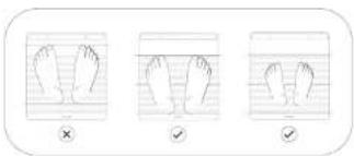 WITHINGS Body Scan WBS08 - suorittaminen - 1