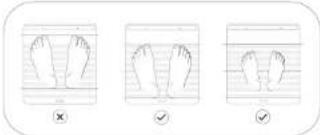 WITHINGS Body Scan WBS08 - Misurazione del punteggio\_ di salute dei nervi - 1