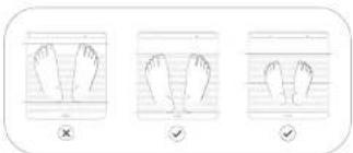 WITHINGS Body Scan WBS08 - Måling af en nervesundhedsscore (Nerve Health Score) - 1