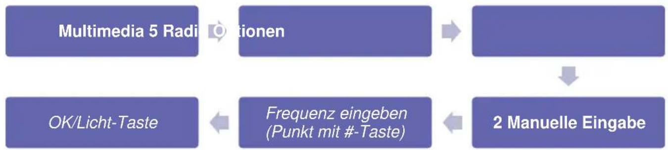 Simvalley XT-300 - - Sender durch Frenzeingabeuchen - 1