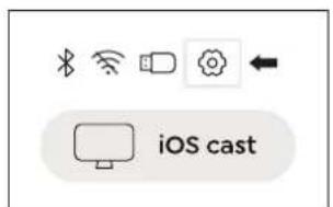 iOS cast