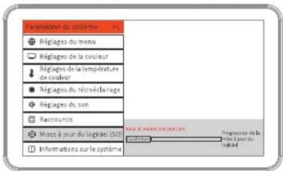 Neewer F700 - Mise à jour du firmware - 2