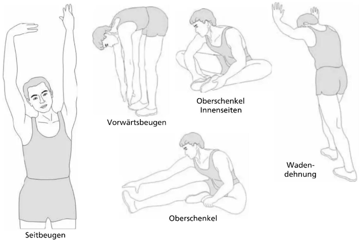 Skandika Atlantis Pro - STRETCHING - 1
