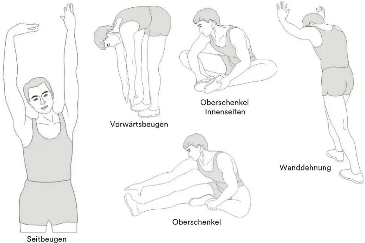 Skandika Cykling P6-H - Stretching - 1