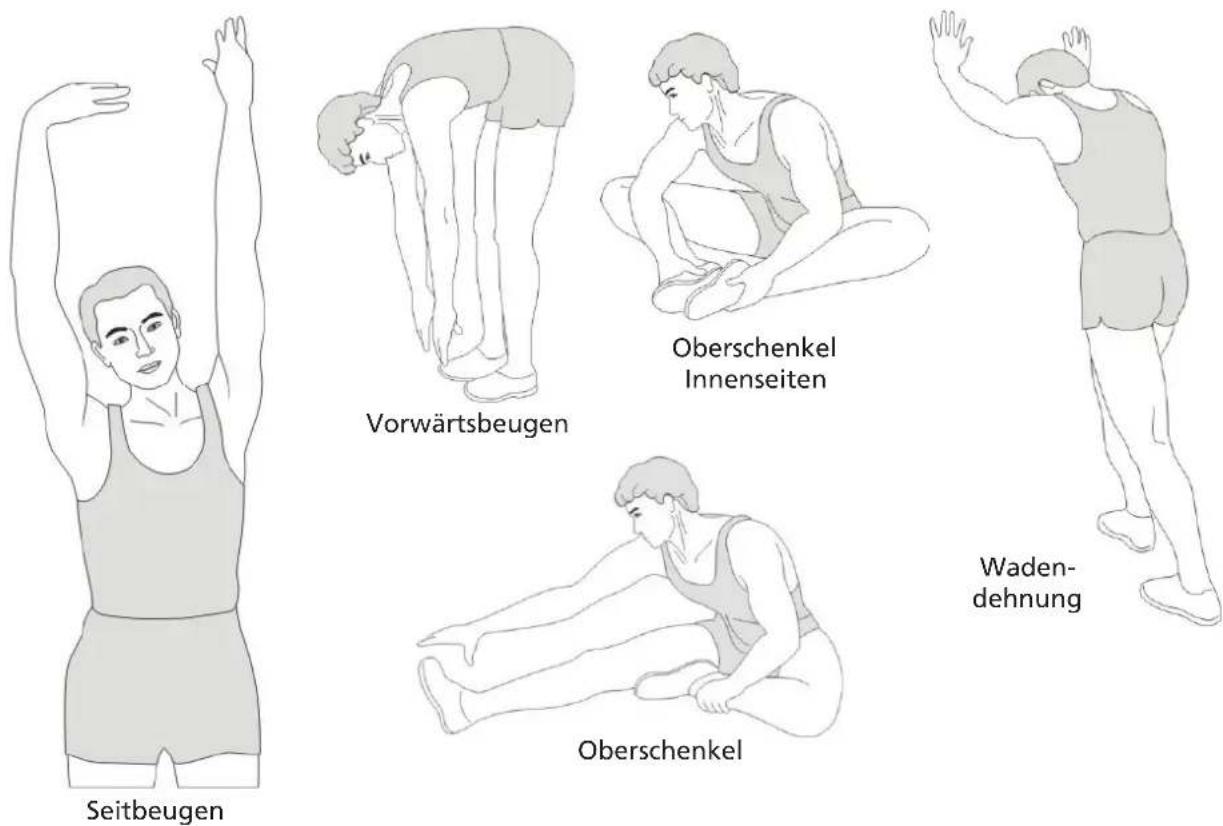 Skandika Bragi - STRETCHING - 1