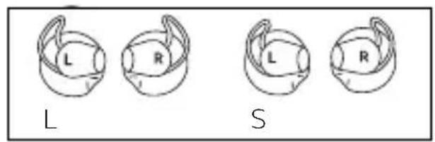 L R S