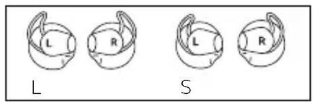 L R S