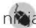 NINJA Double Stack SL300EU - REGISTRE SU PRODUCTO - 1